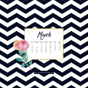 iPad March 2016 via Krista Smith at ActivateHerAwesome.com