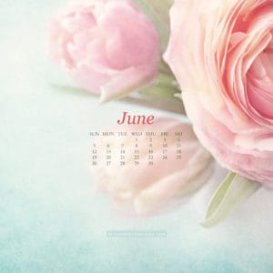 June Wallpaper via Krista Smith at ActivateHerAwesome.com - floral version iPad