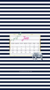 June Wallpaper via Krista Smith at ActivateHerAwesome.com - elephant stripe version iPhone