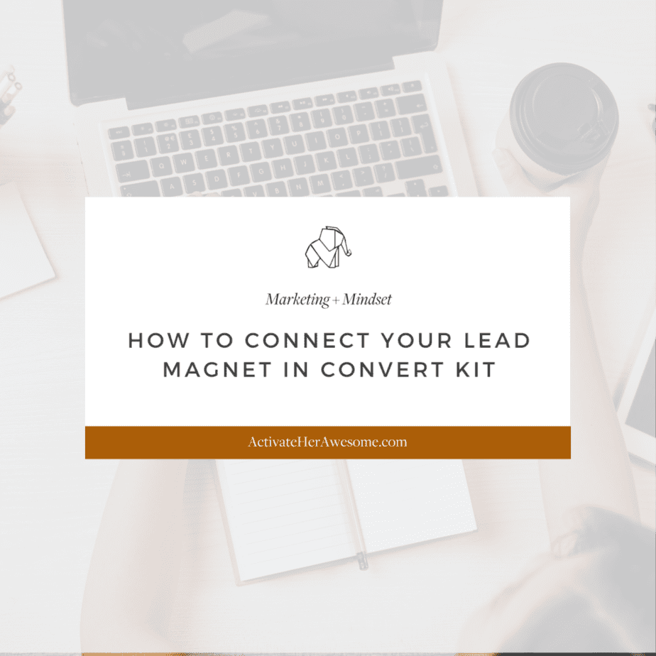 How to Connect Your Lead Magnet in Convert Kit