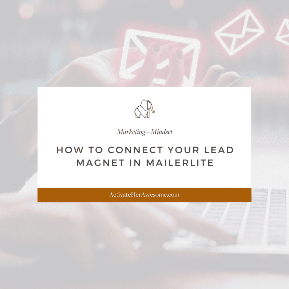 How to Connect Your Lead Magnet in Mailer Lite